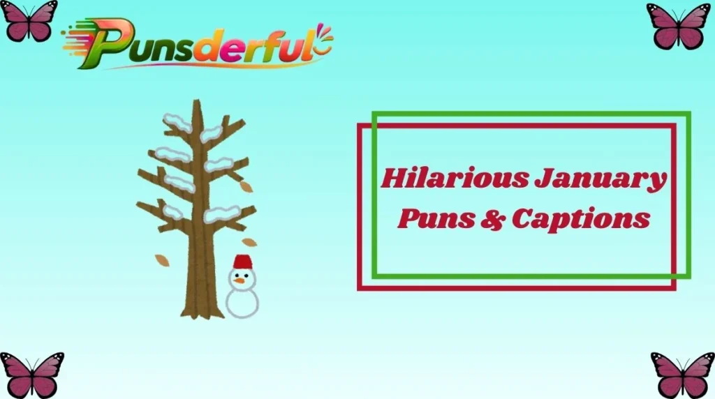 Hilarious January Puns & Captions