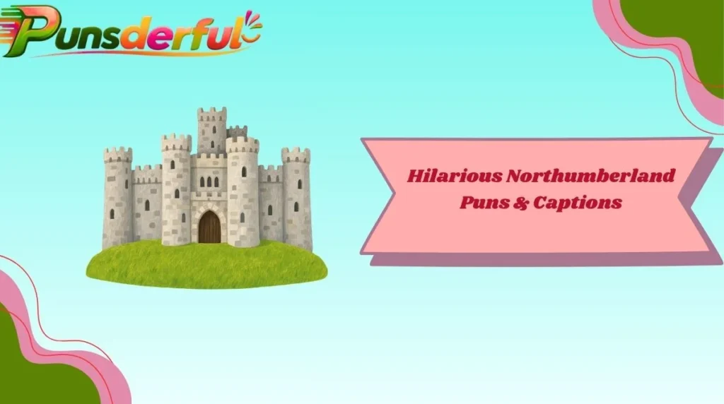 Hilarious Northumberland Puns & Captions