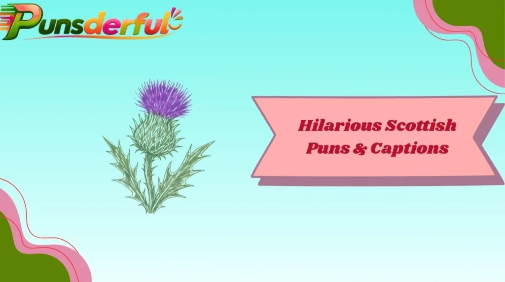 Hilarious Scottish Puns & Captions