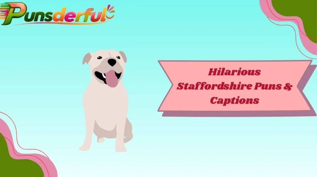 Hilarious Staffordshire Puns & Captions